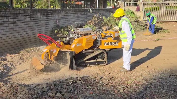 Bandit SG40 stump grinder in action