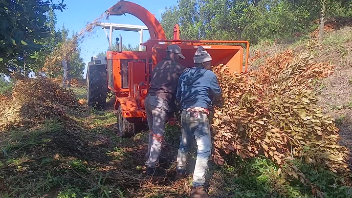 Tomcat 250AFE wood chipper in action