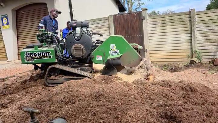 Bandit ZT1844 track stump grinder in action