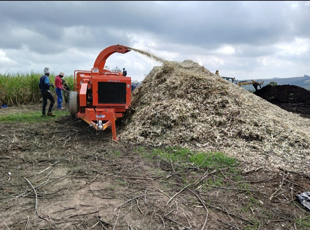 Wood chipper turning Wattle into wood chips for Macadamia trees - this helps retain soil moisture, suppress weeds and build beneficial microbial activity