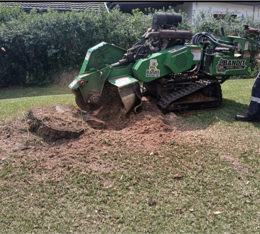 Close-up of the Bandit stump grinder removing a stump on a customer's verge