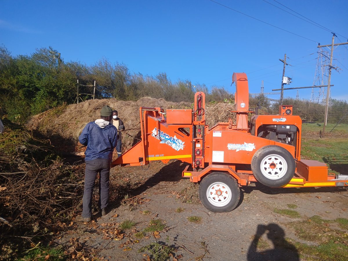Chipping brush at an estate in the Midlands