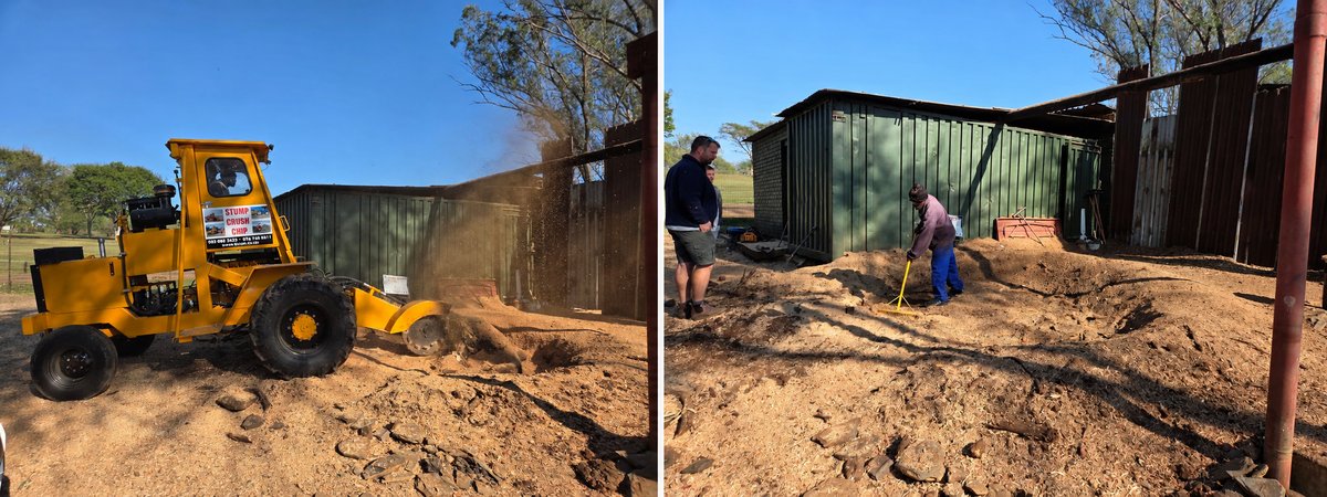 Before and after stump grinding job
